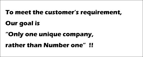 To meet the customer’s requirement,Our goal is“Only one unique company, rather than Number one”!!