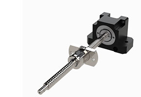 ball screw with ball spline overlap type